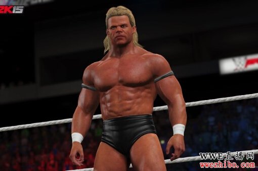 WWE 2K15DLCͼ 