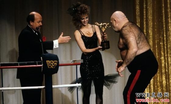 wwe历届摔美奖经典回顾