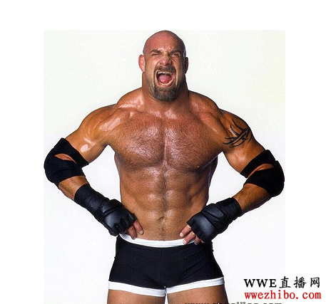 Goldberg，职业摔角运动员