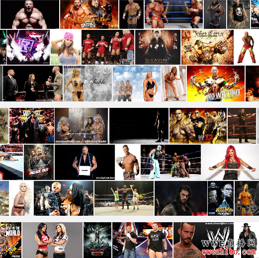 WWEֱ<a href='http://www.wwezhibo.com/' target='_blank' title='ˤ'><span style='color: #0000ff'><strong>ˤ</strong></span></a></span>վͼƬ