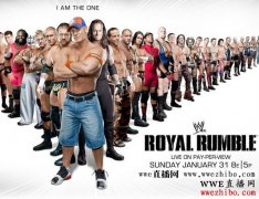 wwe2015ppvű,wweְҵˤ