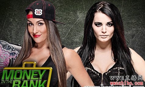 2015wwe Money In The Bank 2015(Լ)